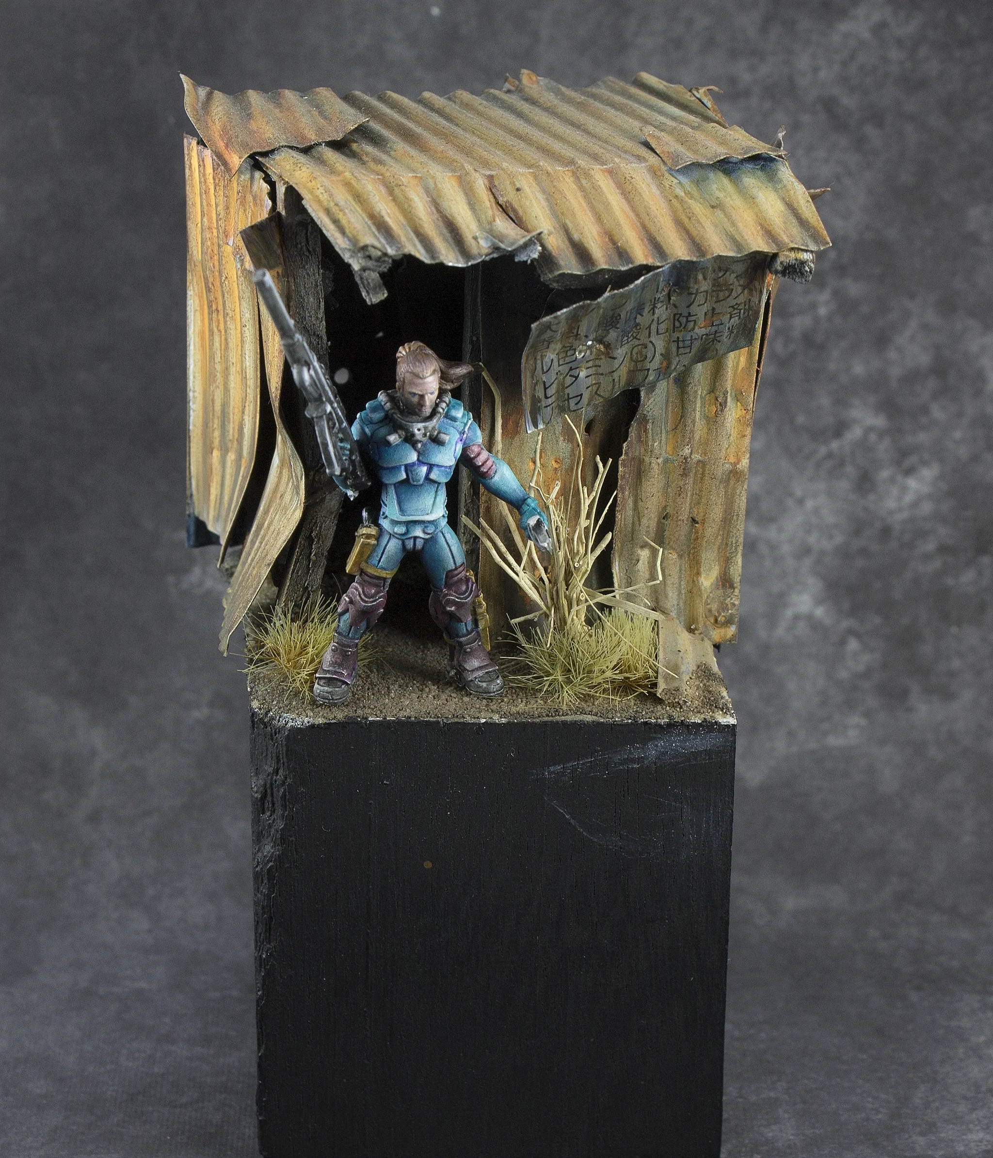 Tin Shack