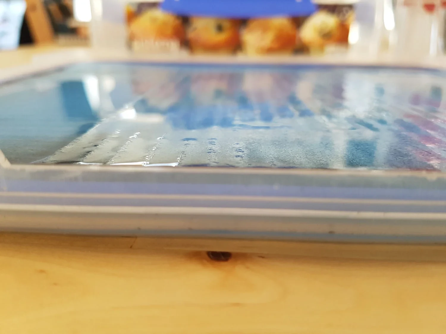 The sponge is saturated with water and I can see a thin sheet of water over the sponge. However, the entire plane isn't flooded.&nbsp;