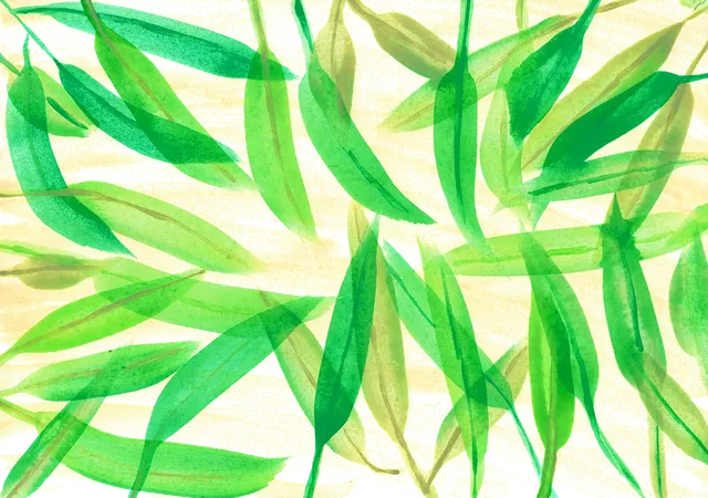 20170722_172835.jpg